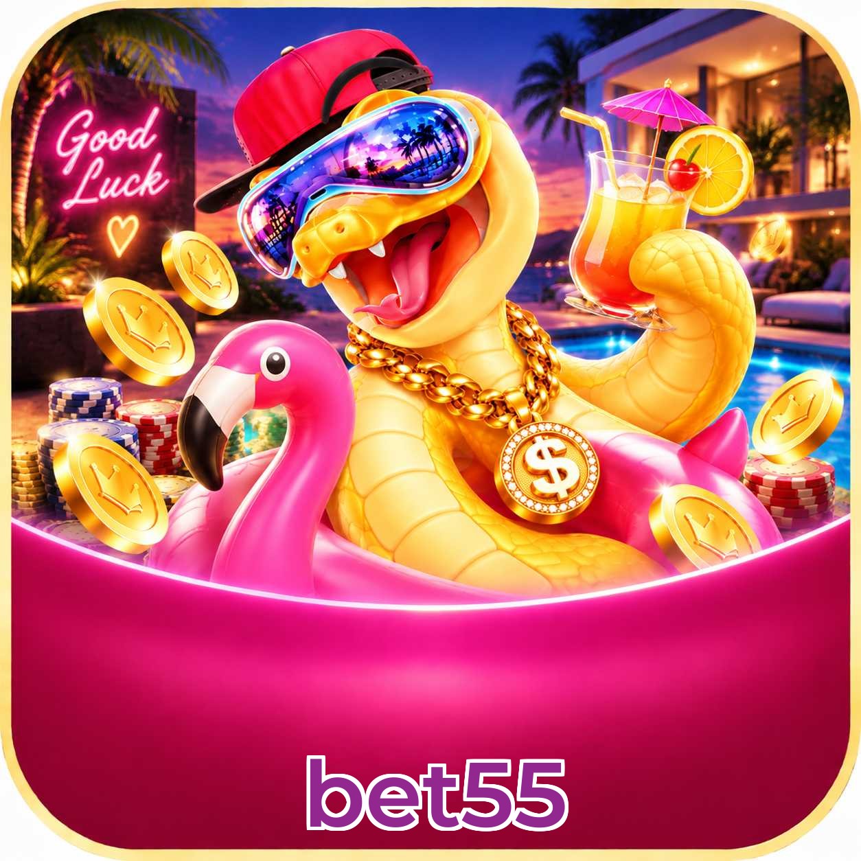 bet55